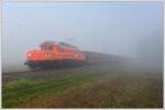 1020.37 der GEG mit dem ber den Pyhrn und das Ennstal umgeleiteten 90407 (Ersatzleistung fr 48407 Linz-Koper) am 4.10.2010 kurz zwischen Kematen und Rohr-Bad Hall aufgenommen.