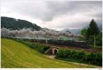 109.13 & 1040.01 mit dem Sonderzug 16237 von Wien/FJB nach Mrzzuschlag; hier kurz vorm blauen Einschnitt, 13.6.2010.