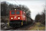 1040 013 vom Club 1018 mit dem Vollrbenzug 59111 von Ziersdorf nach Tulln am 11.1.2013.