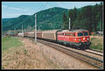1042 029 mit Güterzug bei Krieglach am 29.04.2003.