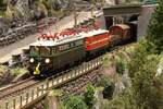 *Modell*
Nach dem 1042.14 und die 1043.08 in den 1970er Jahren mit einem umgeleiteten G�terzug von M�nchen nach Villach den Olfapass auf der bayerischen Seite zwischen St.Martin und Hochgries �berwunden haben, rollen die beiden Villacher Triebfahrzeuge bereits auf �sterreichischem Boden talw�rts nach Langau.