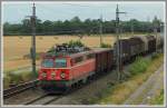 Die noch im Altlack gehaltene 1042 513 bespannte am 4.8.2006 einen Gterzug von Wien Zvb kommend Richtung Ebenfurth.