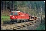 1044 080 fährt am 27.04.1998 mit einem Güterzug, kurz nach Leoben Göß ,durchsMurtal.
