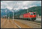1044 015 mit Güterzug bei Traboch am 29.01.2003.