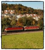 1044 118 vorne und 1044 035 als LZ gen Linz am 09.10.2010 auf der sterreichischen Seite Passaus.