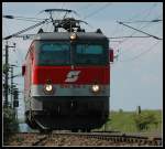 Irgend jemand hat dieser Sumsi Augenrnder verpat.