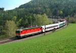 1044 042 mit einem EC am 16.04.2009 an der berhmten Apfelwiese in Eichberg.