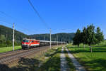 1110 522 mit R 1793 am 30.07.2018 bei Wernstein am Inn.