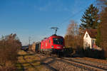 1116 080 mit einem gemischten Güterzug bei Postbauer-Heng Richtung Regensburg, 17.01.2020