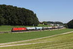 1116 277 war am 22. August 2023 mit einem Kesselwagenzug bei Axdorf in Richtung München unterwegs.