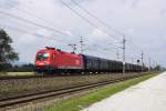1116 275  Max  mit einem Güterzug bei Hörsching.