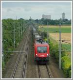 1116 075 am 4.8.2006 mit einem Güterzug von Wien Zvb kommend kurz nach Pottendorf-Landegg nach Ebenfurth.