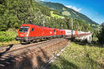 1116 274-2 und 1116 069-6 überquren mit dem EKOL die Falkenstein-Brücke, nahe der Haltestelle Oberfalkenstein.
Aufgenommen am 7.8.2017.