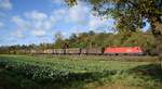 1116 098 mit dem Kühlschrankzug in Richtung Ulm bei Reichenbach an der Fils am 22.10.2017.