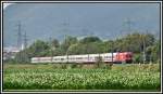 Eine 1116 061 bringt am 17.06.05 bei Stans b.Schwaz den EuroCity 88  Leonardo da Vinci  nach Mnchen Hbf.