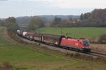 1116 194 mit einem gemischten Güterzug bei Edlhausen Richtung Regensburg Hbf, 04.11.2016