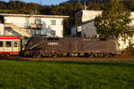 Die Cobara Lok (1116 182-7) am IC 119 bei Schwarzach nach Dornbirn.