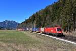 1116 263 mit TEC 40502 am 23.03.2019 bei Pöckau.