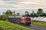 Nach einem Regenguss kommt 1116 095 mit einem Autotransportzug in Langenisarhofen vorüber.Bild 9.5.2019