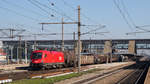 Am 10. Oktober 2018 ist 1116 177-7 in Wels Hbf zugegen. 