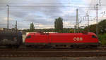 Taurus ÖBB 1116 147 von ÖBB fährt mit einem Güterzug aus Antwerpen-Waaslandhaven(B) nach Linz-Voestalpine(A) und fährt in Richtung Aachen-Schanz,Aachen-Hbf,Aachen-Rothe-Erde,Stolberg-Hbf(Rheinland)Eschweiler-Hbf,Langerwehe,Düren,Merzenich,Buir,Horrem,Kerpen-Köln-Ehrenfeld,Köln-West,Köln-Süd. 
Aufgenommen vom Bahnsteig von Aachen-West. 
Am Abend vom 13.9.2019.