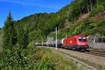 1116 150 mit einem Kesselzug am 18.09.2019 bei Ingling.