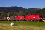 1116-001-1 mit 005-1  in Dornbirn Haselstauden. 7.5.20