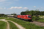 1116 105 und 1116 xxx waren am 19. Mai 2020 bei Grabenstätt mit einem Kesselwagenzug in Richtung Salzburg unterwegs.