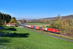 1116 184 mit einem KLV am 07.11.2020 bei Vilshofen.