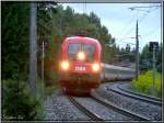 Taurus 1116 048 mit Zug EC 30 Allegro Johann Strau fhrt durch den Murwald bei Zeltweg.