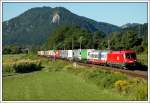 Die morgendliche RoLa von Marburg nach Wels, am 15.8.2007 mit 1116 202 als Zuglok, aufgenommen kurz vor dem Bahnhof Peggau-Deutschfeistritz.