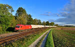 1116 132 mit einem Güterzug am 21.09.2022 bei Langenisarhofen.