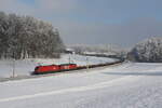1116 278 und 1293 189 waren am 13. Januar 2024 mit einem gemischten Güterzug bei Axdorf im Chiemgau in Richtung Rosenheim unterwegs.