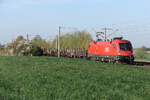 ÖBB 1116 122 mit Langschienen im Gepäck am 17.04.2026 bei Vierkirchen.
