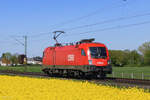 1116 262 (�BB) in Meerbusch B�singhoven, 22. April 2026