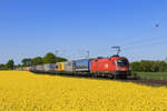1116 058-9 (�BB) mit einem Sattelaufliegerzug in Meerbusch B�singhoven, 22. April 2026