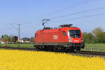 1116 111 (�BB) in Meerbusch B�singhoven, 24. April 2026