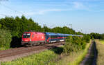 1116 113 mit dem NJ 471 / IC 60471 (Hamburg Altona - Z�rich HB) bei K�ndringen 23.5.26