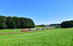 1116 040 mit einem Güterzug Richtung Rosenheim am 04.07.2026 bei Axdorf.