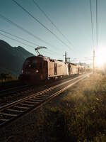 �BB 1116 149 und �BB 1144 288 durchfahren am 24.08.2026 mit einem Autozug nach Linz die ehemalige Haltestelle Oberfalkenstein.