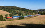 1116 164 mit dem EN 40458 / EC 458 / NJ 408 / IC 60408  Canopus  (Berlin Hbf / Praha hl.n. - Z�rich HB) bei Stockburg 8.8.26
