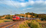 1116 100 mit dem NJ 471 / IC 60471 (Hamburg Altona - Z�rich HB) bei St.Georgen 9.8.26