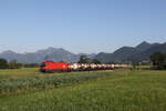 1116 082 war am 25.