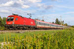  1116 135 �BB mit einem Intercity am 18.9.26 bei Eglharting.