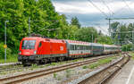 91 81 1116 275 | 20260614 | A�ling  