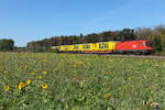 1116 101 der ÖBB mit Aufliegern am 25.9.26 bei Eglharting mit einem schönen Sonnenblumenfeld im Vordergrund.