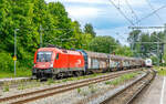 91 81 1116 049 | 20260616 | A�ling
