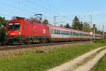 1116 105 der ÖBB und dem Zusatz Gewi mit einem Intercity Sandwich am 29.9.2026 bei Eglharting abgelichtet.

