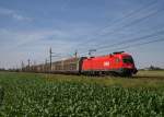 1116.015 mit dem Audi-Zug 47123 bei Oftering (19.06.2008)