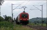 Die 1116 262 bringt einen Kessel-Bomber durch das Chiemgau in Richtung Salzburg. (09.07.2008)
